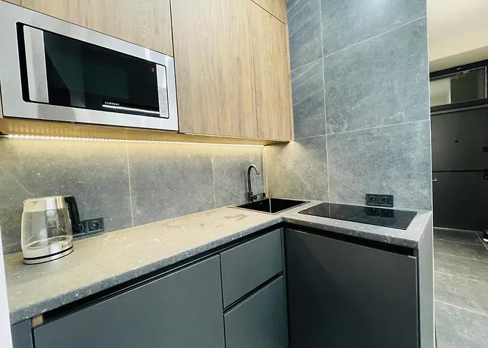 Apartamento сучасні в центрі,паркінг Leópolis